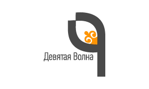 9 волна